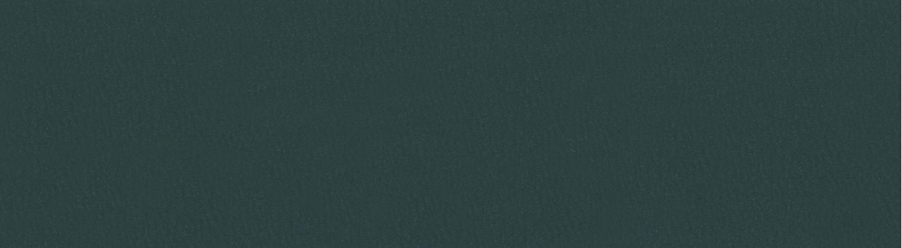 Dark Emerald Abs Kenar Bandı