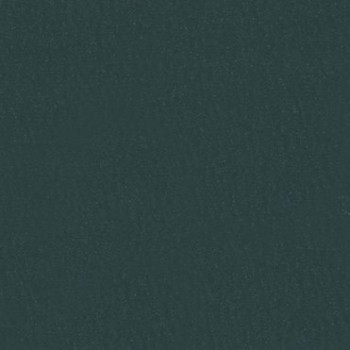 Dark Emerald Abs Kenar Bandı